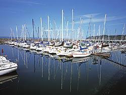 Powerboat Fleet 